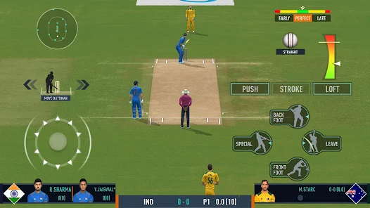 Real Cricket 24 Tournament